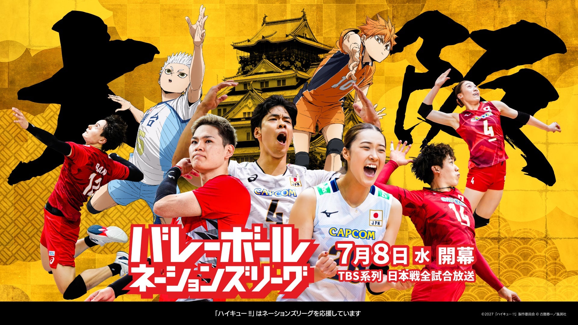 バレーボール日本代表