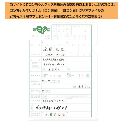 こんちわコンちゃん お昼ですょ！観察ノート（全3種類）（『イカす編』）