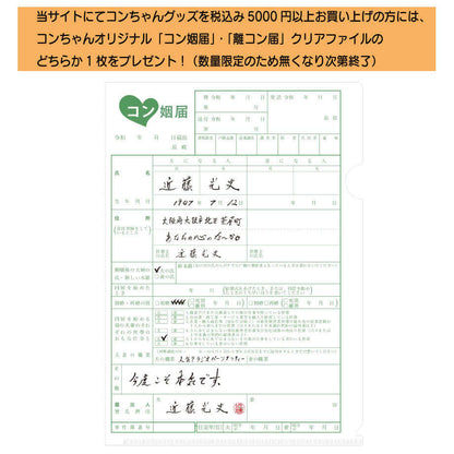 タオるこんちわコンちゃん お昼ですょ！