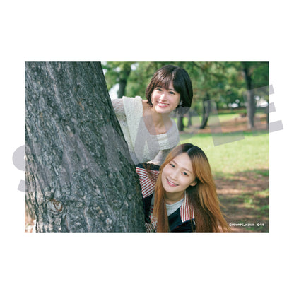 ブロマイドコレクション（全１２種・ランダム） / ドラマ『付き合ってあげてもいいかな』※12月中旬頃発送