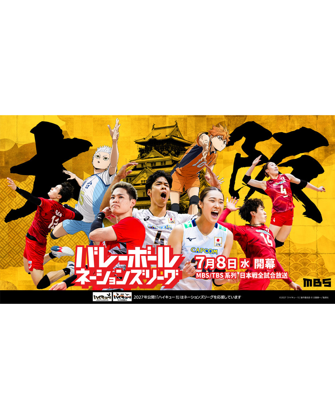 佐藤淑乃選手 ハイキュー バレーボール日本代表 フォトフォルダー